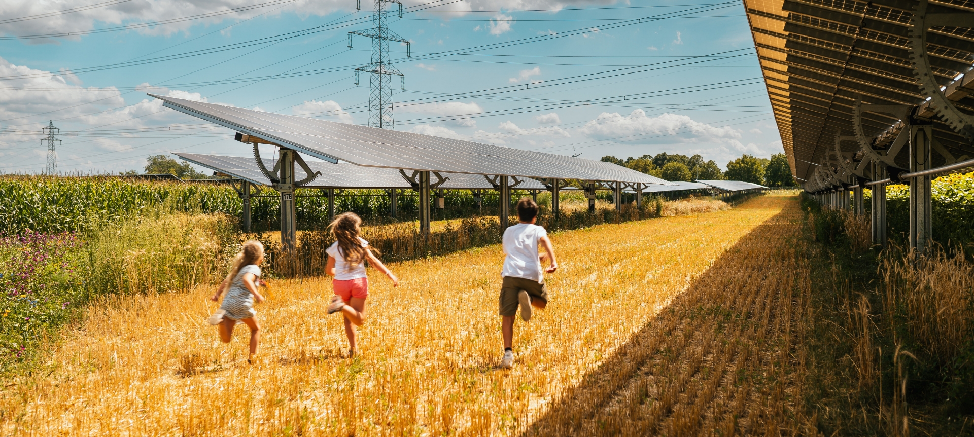 Ein Erntejahr am Sonnenfeld