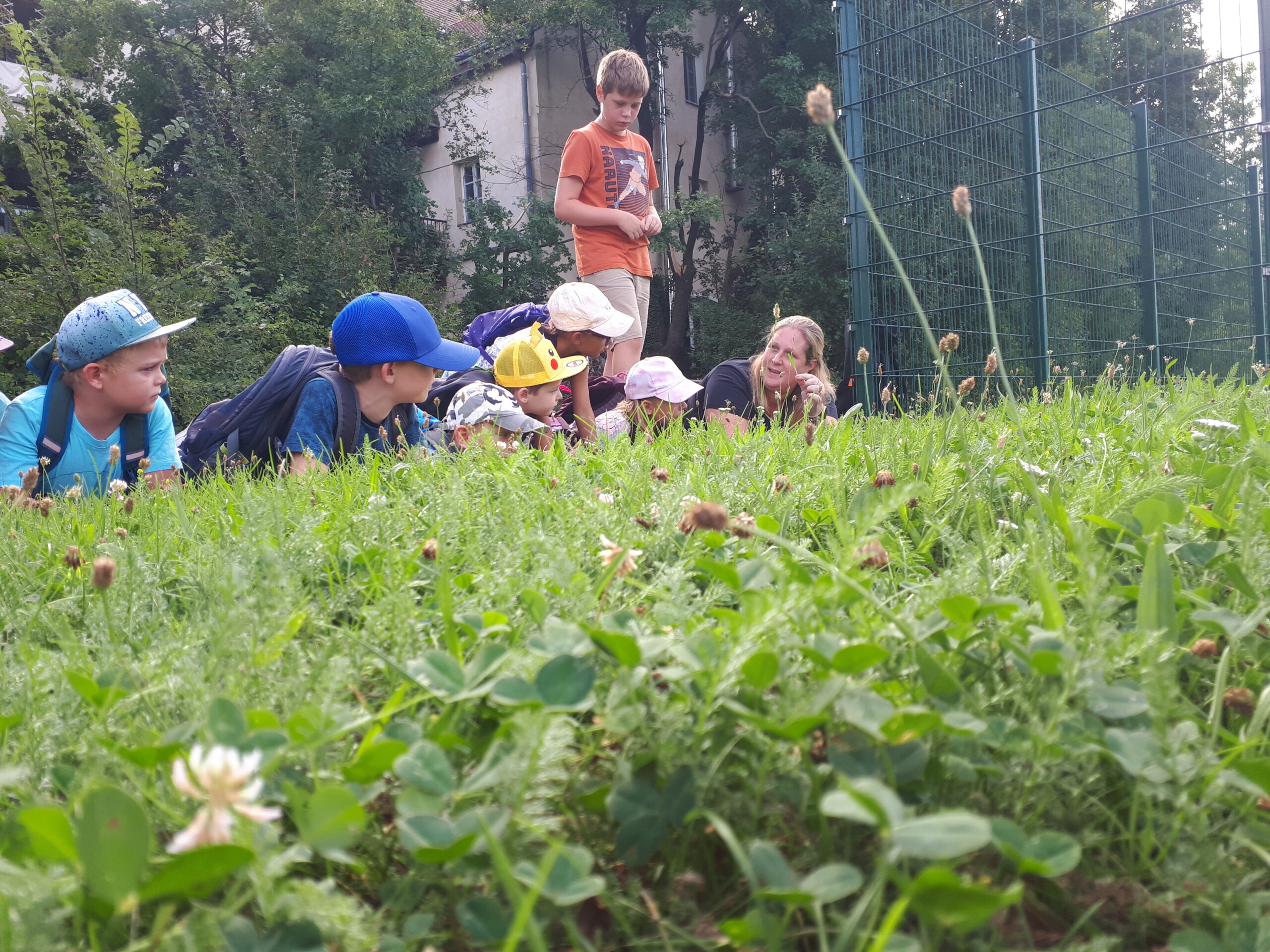 Spannende Kräuterwanderung mit Hortkindern in Zwölfaxing