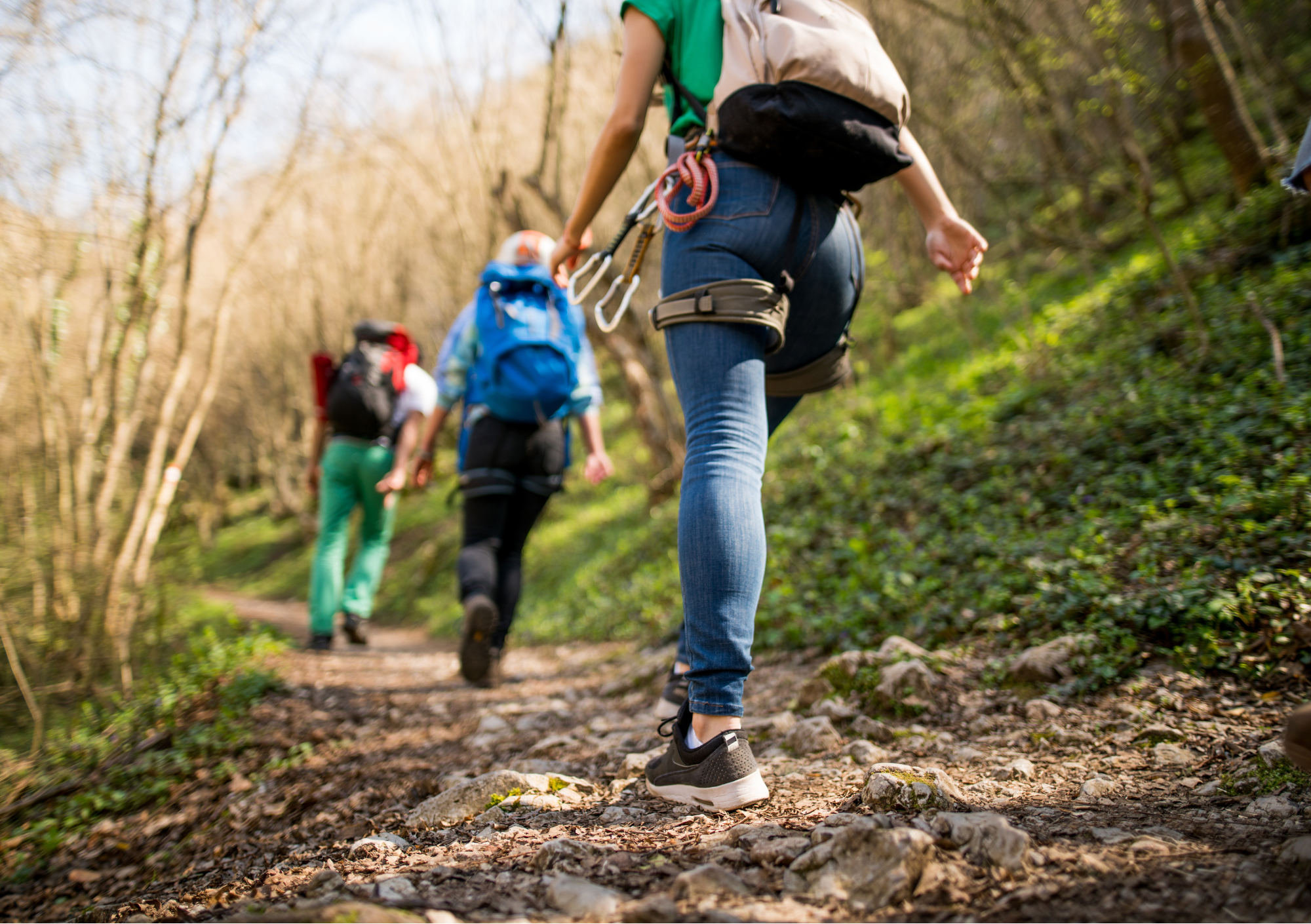 Einladung: Wildkräuter Spaziergang